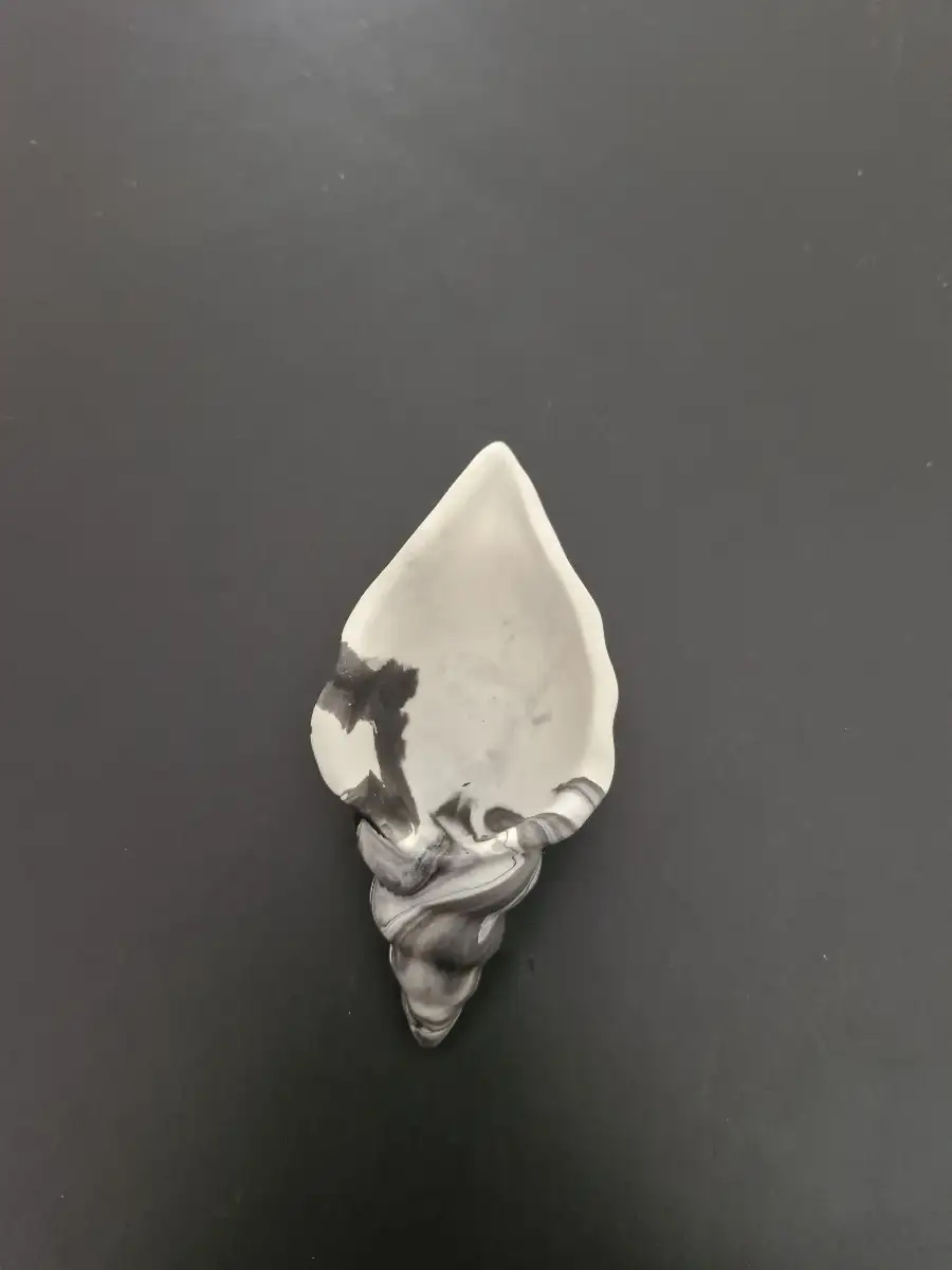 Coquillage - marbré noir