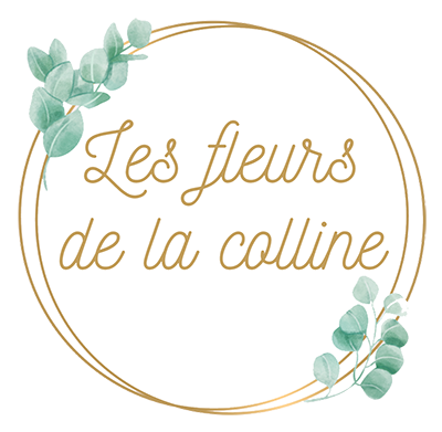 Logo LES FLEURS DE LA COLLINE